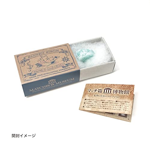 マッチ箱 コレクション 貴重 資料 Amazon.co.jp: マッチ箱博物館